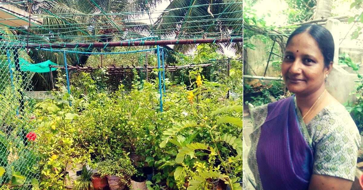 Want A Terrace Garden Let Chennai S Top Gardener Guide You