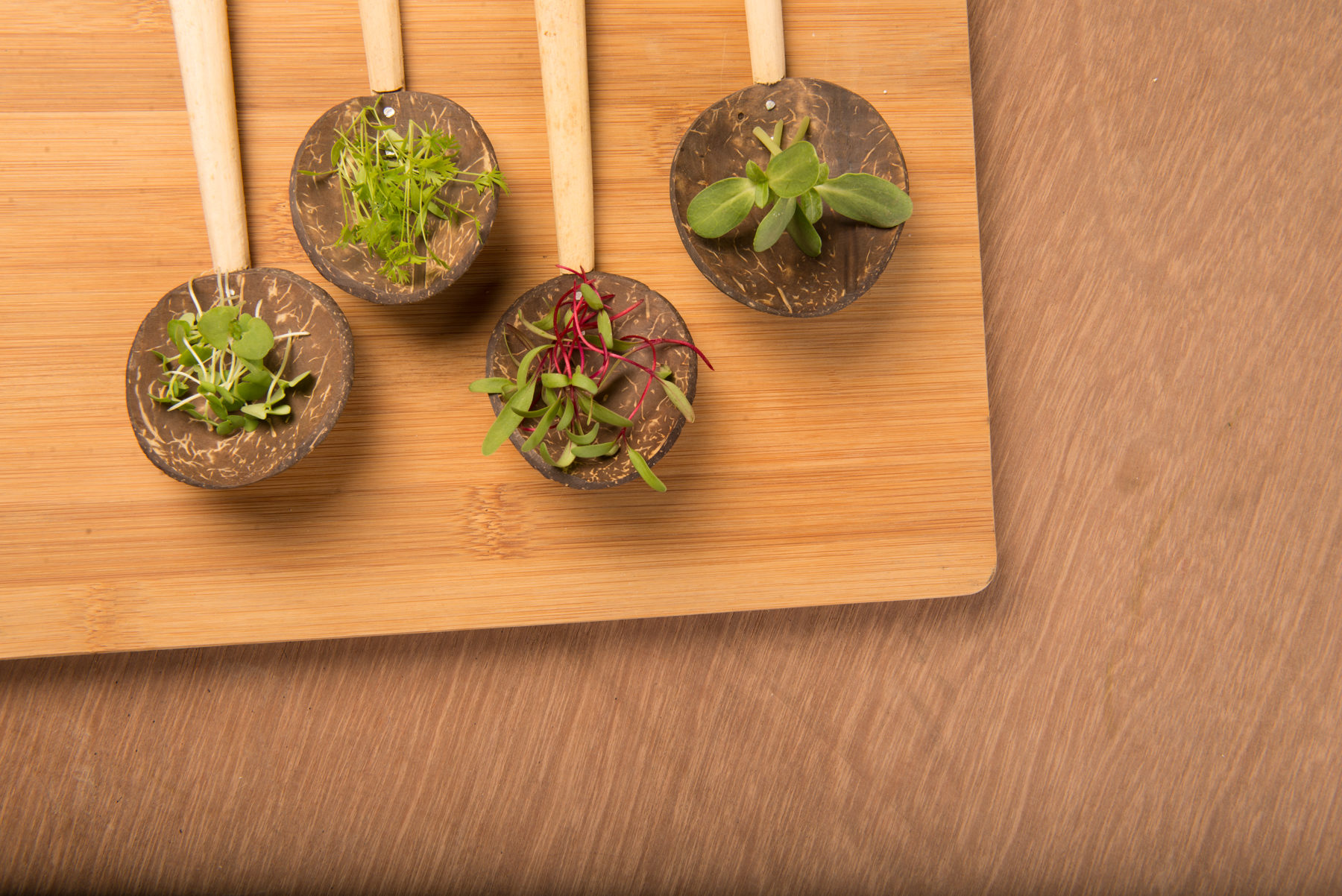 Uttarakhand Duo Behind One Of India S Largest Aquaponic Farms